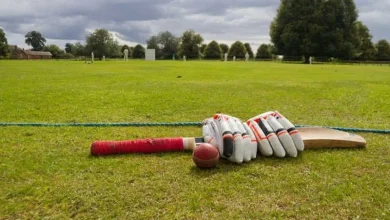 4 city cricketers in Women’s Premier League auction