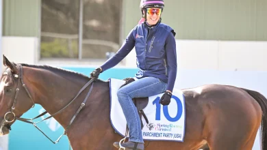 40 horses remain in contention for $10 million Lexus Melbourne Cup