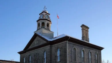 41+ fun things to do in and around Ottawa, November 17 to 23