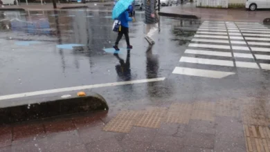 5地區低溫僅20度！氣象專家曝成颱機率 本週天氣一次看