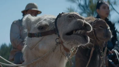 6 años después, vuelve una de la saga de aventuras más importantes del cine por última vez: "Nuestra...