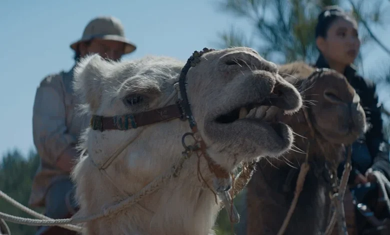 6 años después, vuelve una de la saga de aventuras más importantes del cine por última vez: "Nuestra...
