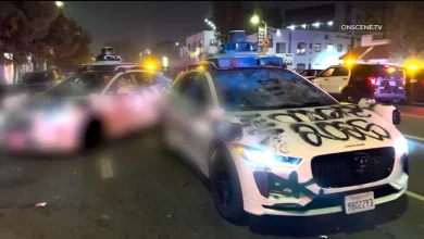 7 arrests made as Dodger fans celebrated World Series win across Los Angeles, police say