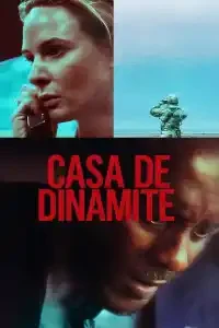 A CASA DE DINAMITE: BREVE ANÁLISE DO CENÁRIO PROPOSTO