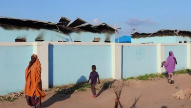 A Fox News report prompted Trump to post about Nigeria, setting off White House scramble