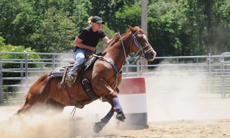 A Nasty Brain Illness Is Spreading Quickly Among Horses in the U.S. Here's What You Need to Know