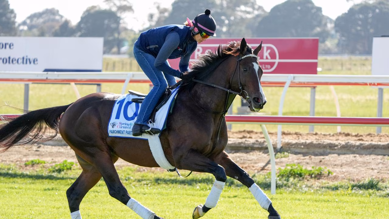 A US-trained horse is running in the Melbourne Cup for the first time. This is why it took 165 years