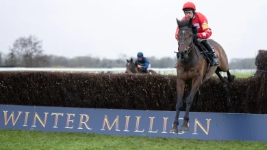 A festival hero and a juvenile described as 'a rocket' - key horses to note for Cheltenham's November meeting