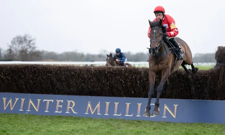 A festival hero and a juvenile described as 'a rocket' - key horses to note for Cheltenham's November meeting