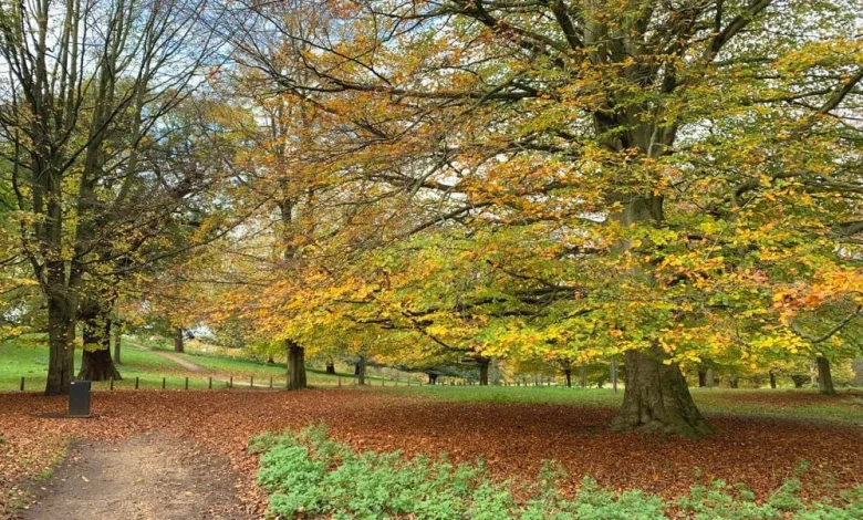 A mixed week for the end of November