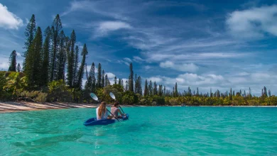 A one-stop trade portal: New Caledonia Tourism launches new B2B agent website