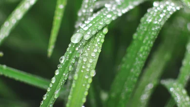 A wet and windy week before turning colder