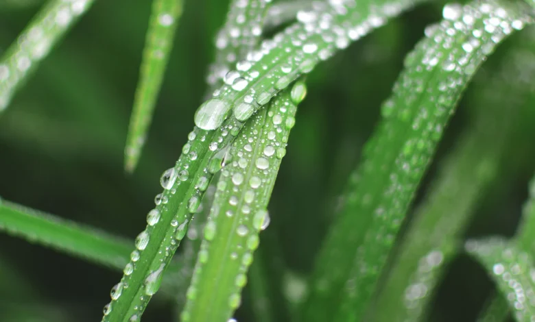 A wet and windy week before turning colder