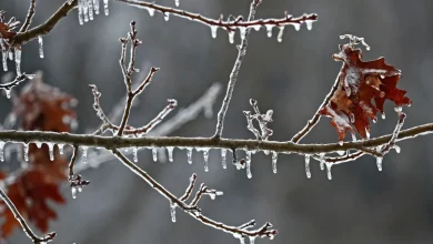 A wintry mix is coming to Wisconsin that could create slippery, slushy road conditions