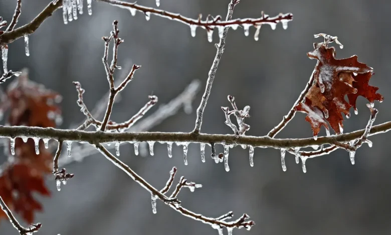 A wintry mix is coming to Wisconsin that could create slippery, slushy road conditions