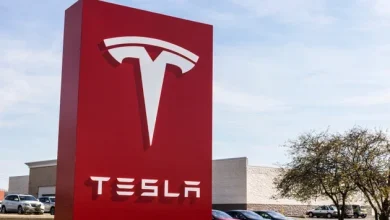 AI angst: The Nvidia shadow hangs over Tesla and other EV stocks (TSLA:NASDAQ)
