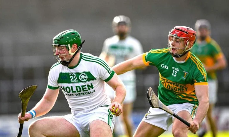 AIB Leinster Club SHC: Ballyhale battle past KK