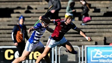 AIB Leinster Club SHC: Impressive Martin's through to Croke Park final