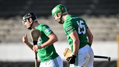 AIB Leinster Club SHC: Shamrocks Ballyhale overcome spirited Clough-Ballacolla