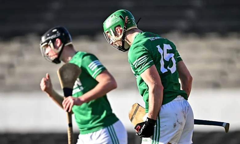 AIB Leinster Club SHC: Shamrocks Ballyhale overcome spirited Clough-Ballacolla