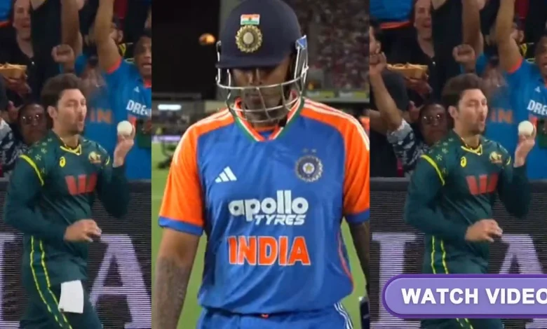 AUS vs IND [WATCH]: Tim David almost licks the ball in celebration after taking Suryakumar Yadav’s catch