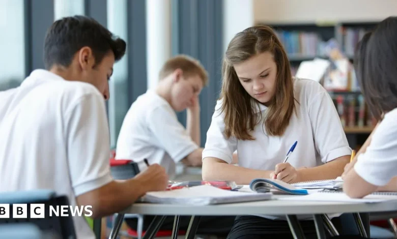 Absorbing council Send debts won't hit school budgets, ministers say