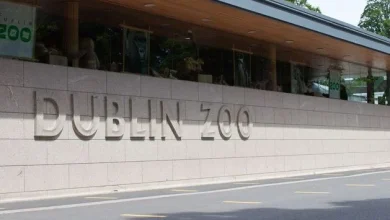 Activist calls for Dublin Zoo to be shut and replaced with 'wildlife sanctuary’