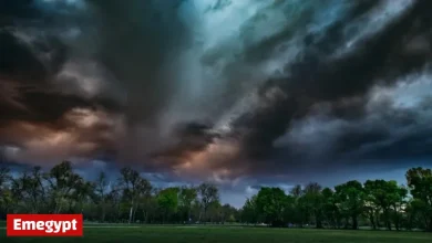 Adelaide Weather Update: What to Expect on Sunday November 2nd and the Coming Days