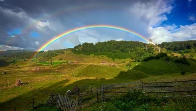 Adelaide weather forecast for Friday November 28th and the days ahead