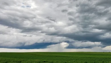 Adelaide weather forecast for Sunday November 16th and the days ahead