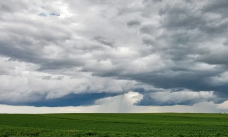 Adelaide weather forecast for Sunday November 16th and the days ahead