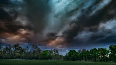 Adelaide weather forecast for Sunday November 2nd and the days ahead