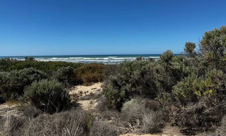 Adelaide weather forecast for Tuesday November 11th and the days ahead