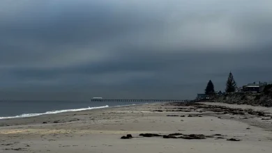 Adelaide weather forecast for Tuesday November 18th and the days ahead