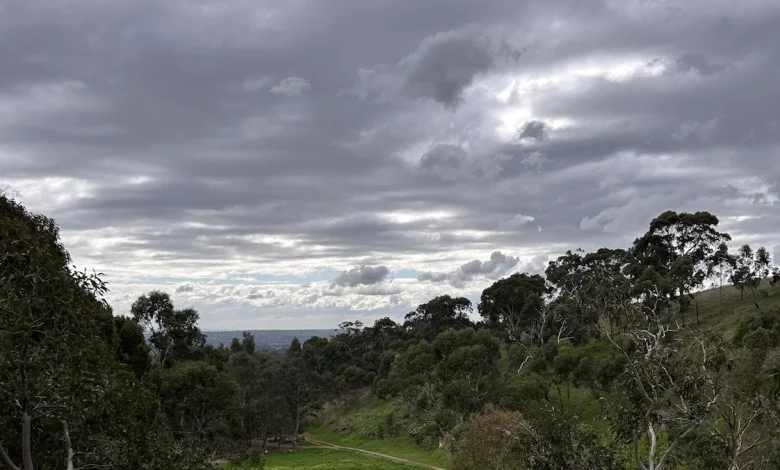 Adelaide weather forecast for Tuesday November 25th and the days ahead