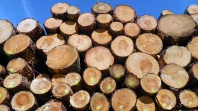 Administration on the horizon for timber distribution group