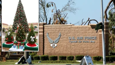 Air Force families at Florida base ordered to strip early Christmas lights from homes by ‘Grinch’ management corp