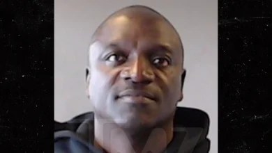 Akon Arrested in Georgia