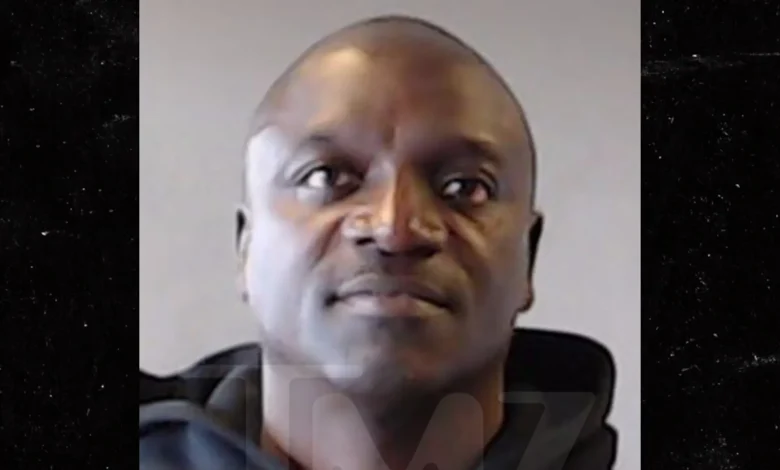 Akon Arrested in Georgia