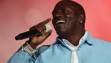 Akon arrested in metro Atlanta