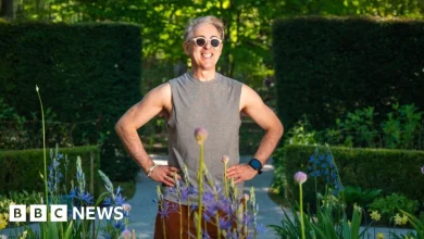 Alan Cumming: The pied piper bringing stars to Pitlochry