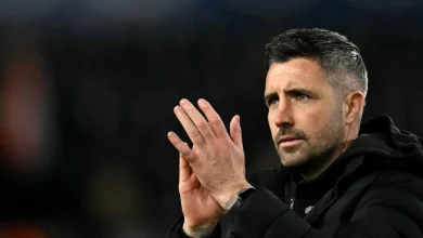 Alan Sheehan sacked as Swansea City head coach