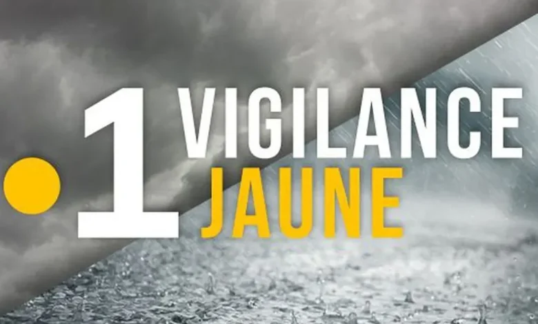 Alerte aux fortes averses orageuses sur l’arc antillais ce week-end
