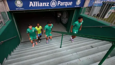 Allianz Parque chega perto dos 17 milhões de espectadores em 11 anos