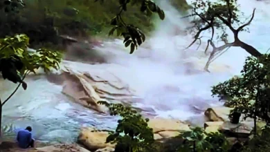 Amazon River Water Reaches 90°C, Boiling Wildlife Alive in One of Earth’s Most Extreme Natural Hotspots