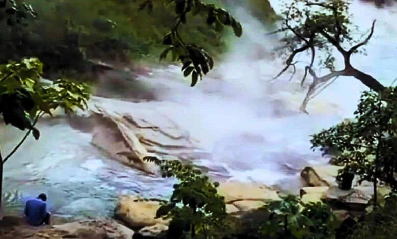 Amazon River Water Reaches 90°C, Boiling Wildlife Alive in One of Earth’s Most Extreme Natural Hotspots