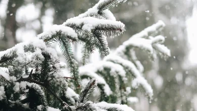 Amber warning issued as cold weather continues