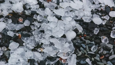 An average year for hail insurance claims