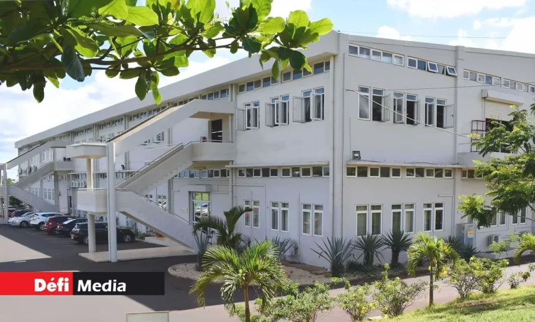 Ancien fleuron du textile mauricien : vente aux enchères des actifs de Star Knitwear en liquidation judiciaire