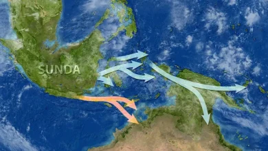 Ancient humans took two routes to Australia 60,000 years ago